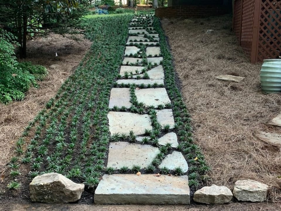 Flagstone walkway with Dwarf Mondo Grass planted between the stones