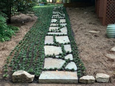 The 1,800-Plant Walkway